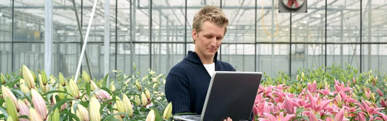 Man werkend op een laptop in een kas